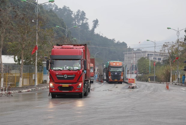 Khoi phuc hoat dong xuat nhap khau, xuat nhap canh o Cua khau Huu Nghi hinh anh 1