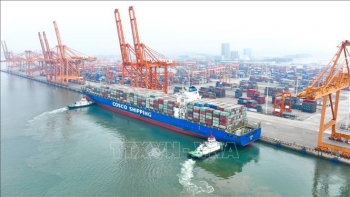 RCEP tạo động lực mới cho phát triển kinh tế khu vực