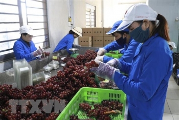 Hội thảo hướng dẫn doanh nghiệp Việt Nam mở văn phòng tại Ấn Độ