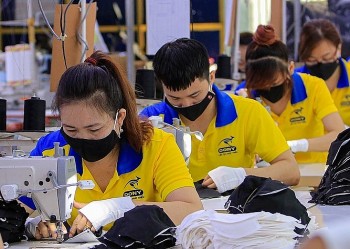 Thông tin thị trường lao động sẽ được kết nối, chia sẻ