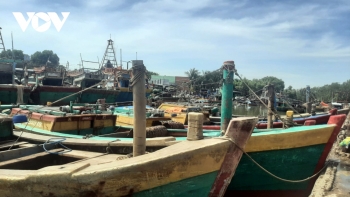 Ngư dân thất thu chuyến biển đầu năm, hàng trăm tàu cá nằm bờ ôm nợ
