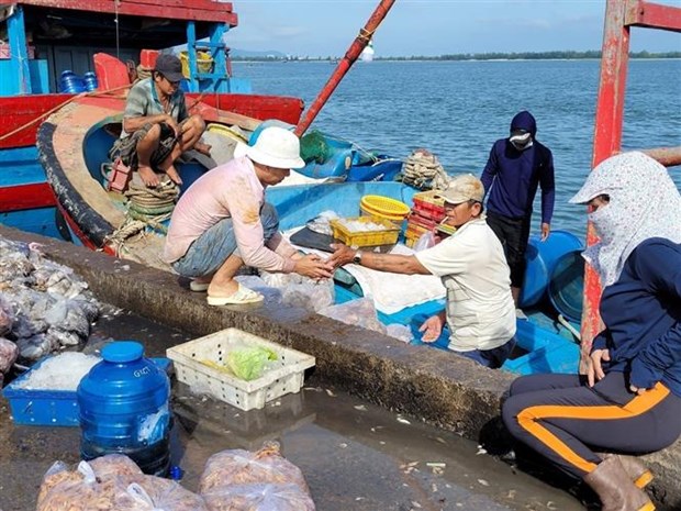 Tinh Ba Ria-Vung Tau quyet tam cao trong viec chong khai thac IUU hinh anh 2
