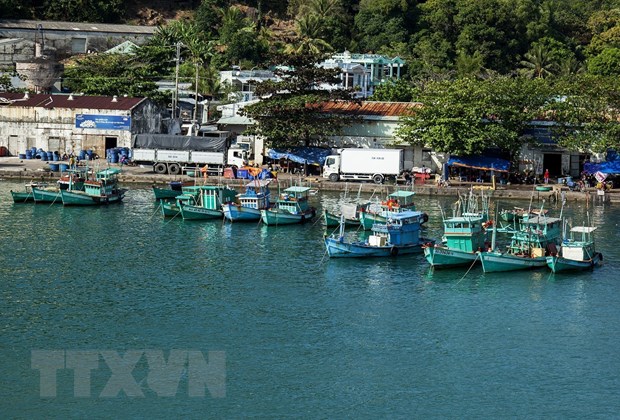 Kien Giang: Thanh pho Phu Quoc tap trung cao diem phong, chong IUU hinh anh 2