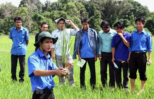 Cung xay dap van menh giua hai dan toc Viet Nam va Lao hinh anh 4
