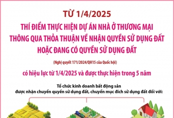 thi diem thuc hien du an nha o thuong mai tu 142025