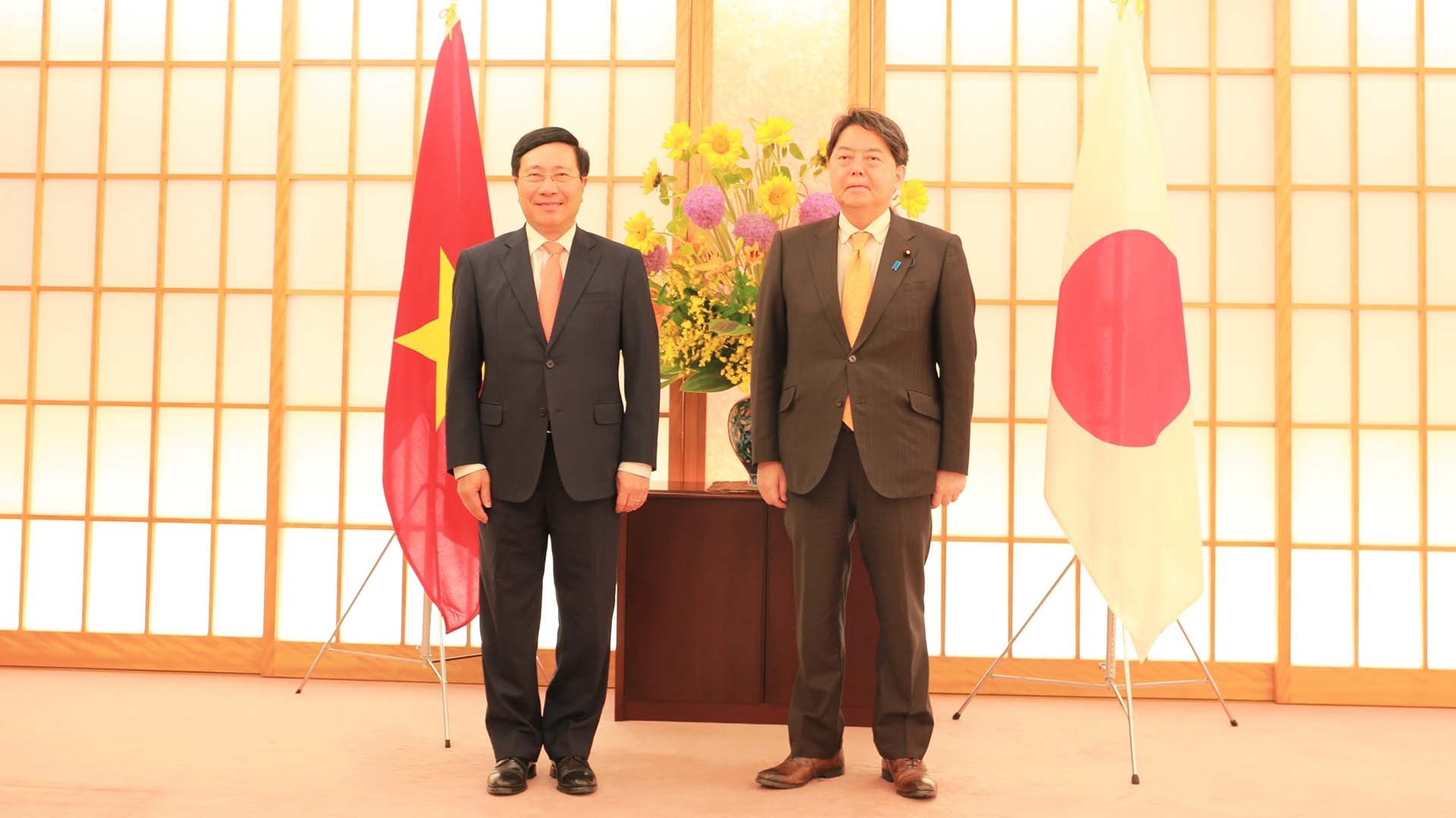 Phó Thủ tướng Thường trực Chính phủ Phạm Bình Minh và Bộ trưởng Ngoại giao Nhật Bản Yoshimasa Hayashi. (Nguồn: TTXVN)