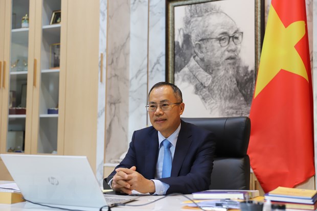 Viet Nam the hien quyet tam thuc day hon nua binh dang gioi hinh anh 1