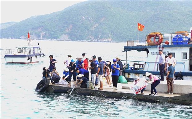 Tai tao nguon loi thuy san, phuc hoi rung ngap man tai vinh Nha Trang hinh anh 1