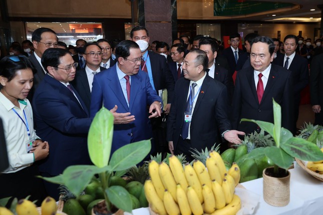 THACO AGRICULTURE trao tặng 15 xe kh&aacute;m chữa bệnh cơ động cho Hội chữ thập đỏ Campuchia ảnh 3