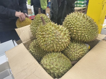 sau rieng viet nam duoc nguoi tieu dung anh don nhan tich cuc