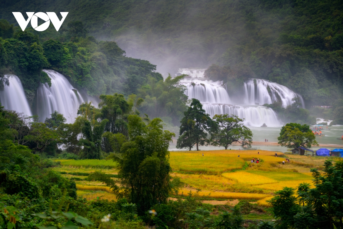 mua vang dep nao long noi bien cuong cao bang hinh anh 1