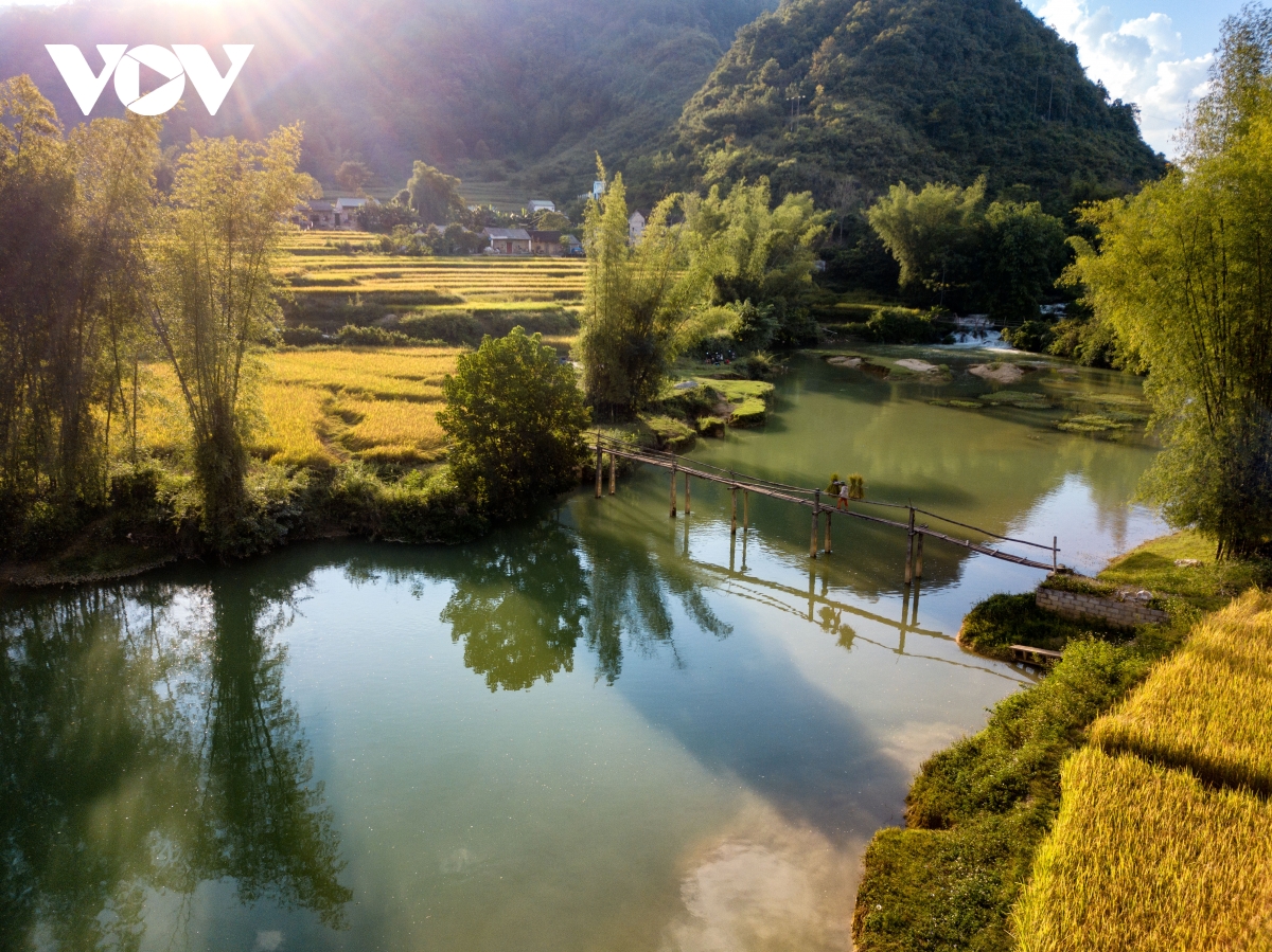 mua vang dep nao long noi bien cuong cao bang hinh anh 3