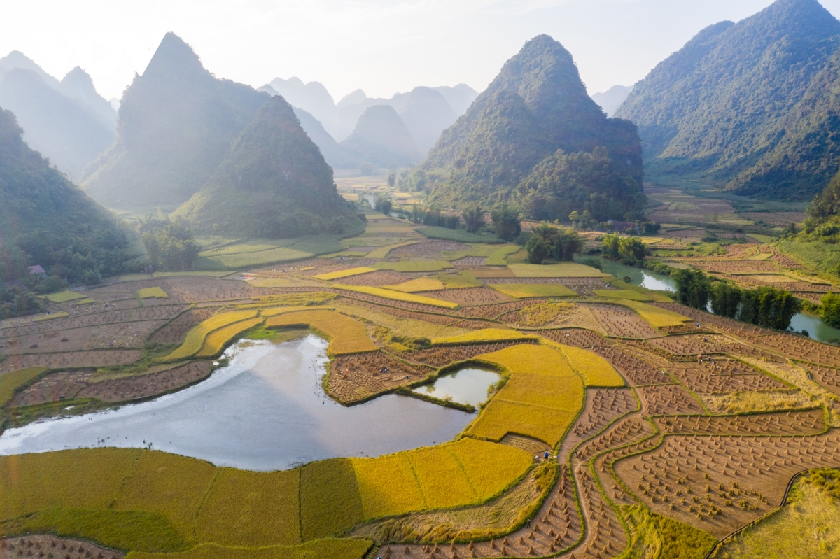 mua vang dep nao long noi bien cuong cao bang hinh anh 6