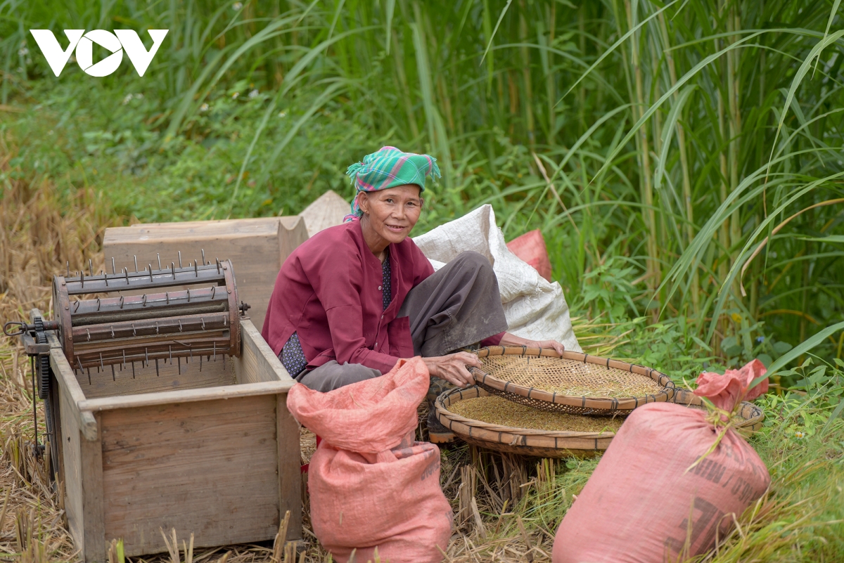 mua vang dep nao long noi bien cuong cao bang hinh anh 10