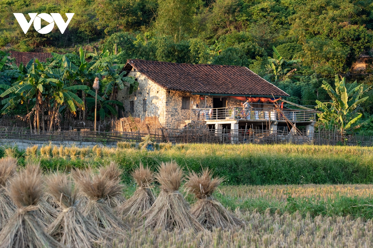 mua vang dep nao long noi bien cuong cao bang hinh anh 15