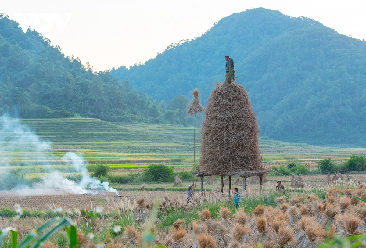 mua vang dep nao long noi bien cuong cao bang hinh anh 17
