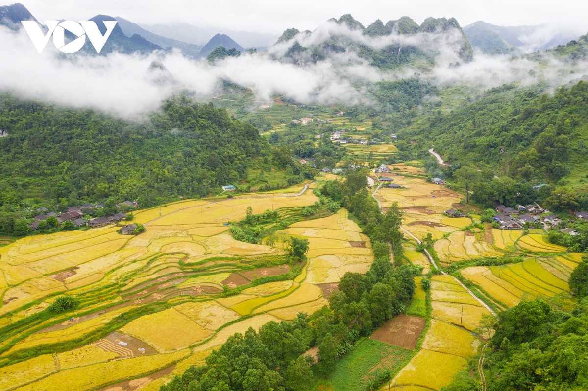 mua vang dep nao long noi bien cuong cao bang hinh anh 5