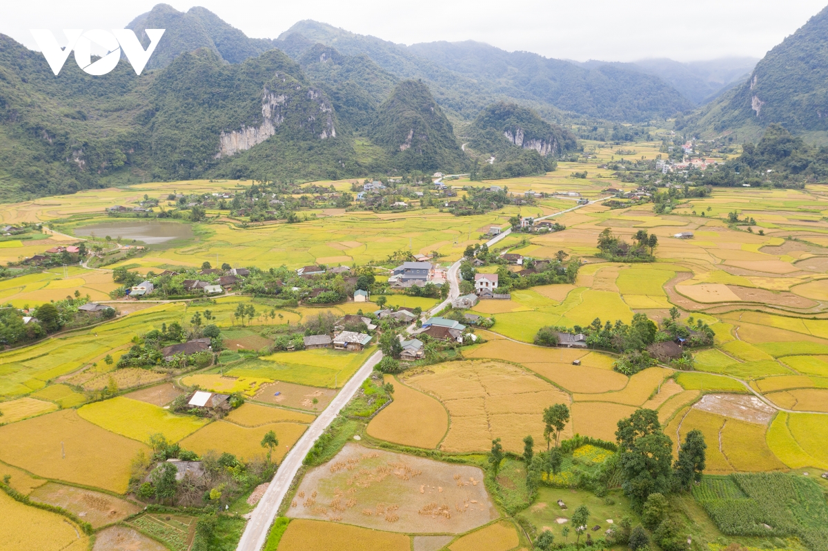 mua vang dep nao long noi bien cuong cao bang hinh anh 8