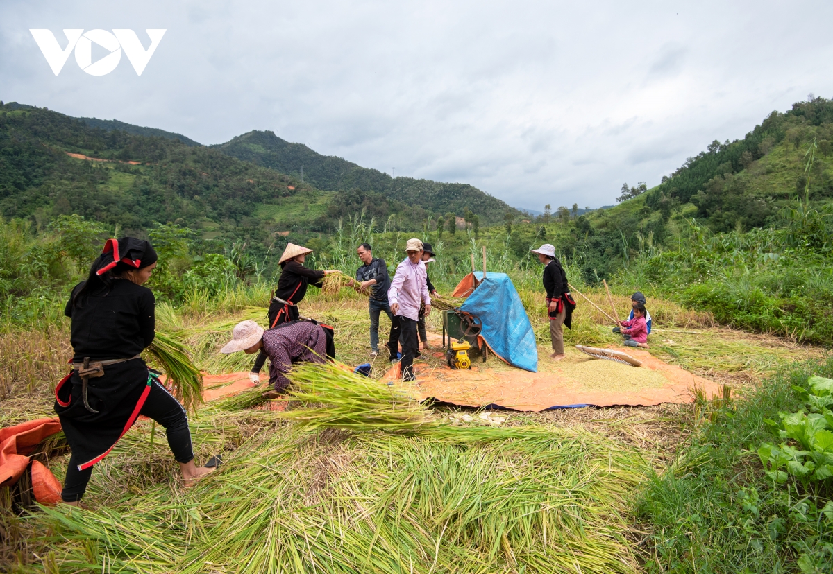 mua vang dep nao long noi bien cuong cao bang hinh anh 7