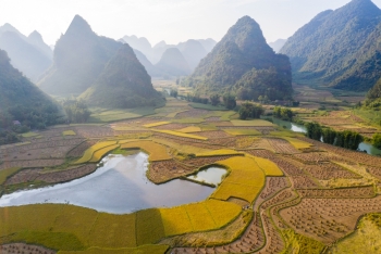 Mùa vàng đẹp nao lòng nơi biên cương Cao Bằng