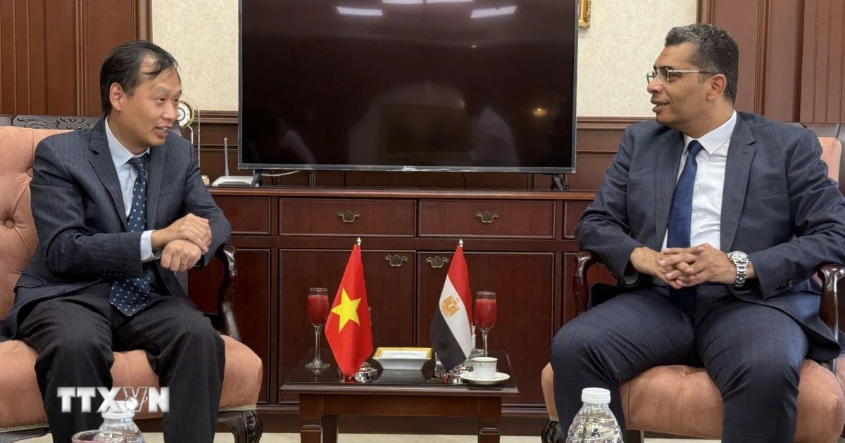Kết nối kinh tế giữa các địa phương Việt Nam và tỉnh Biển Đỏ của Ai Cập Kết nối kinh tế giữa các địa phương Việt Nam và tỉnh Biển Đỏ của Ai Cập