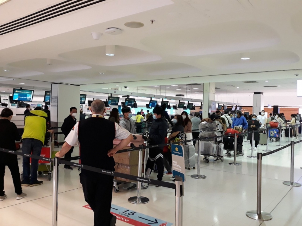 dua hon 530 nguoi viet tu dai loan singapore ve nuoc