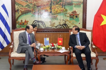 Tăng cường hợp tác văn hóa, thể thao và du lịch giữa Việt Nam - Uruguay