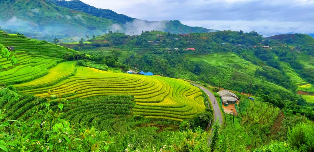 sin suoi ho lai chau tu ban nghien vuon len thoat ngheo nho lam du lich trong dia lan thao qua