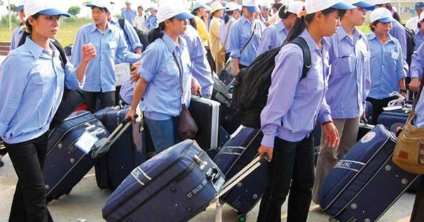 Đơn giản hóa TTHC về kinh doanh dịch vụ việc làm và đưa người lao động đi làm việc nước ngoài