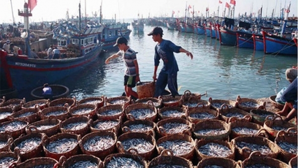 Phát triển mạng lưới đô thị biển - một hướng đi mới của kinh tế biển nước ta