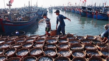 Phát triển mạng lưới đô thị biển - một hướng đi mới của kinh tế biển nước ta