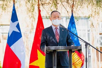 100 họa sỹ, nghệ sỹ Chile tham gia cuộc thi vẽ tranh “Việt Nam-Chile: Tình hữu nghị 50 năm”