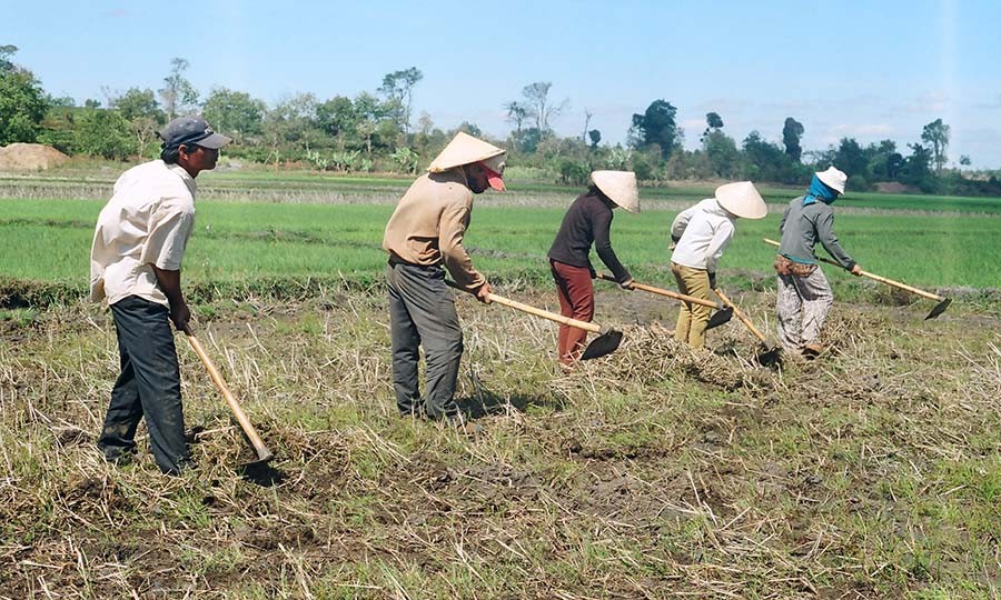 Miễn giảm thuế sử dụng đất cho hộ nghèo, đồng bào dân tộc thiểu số