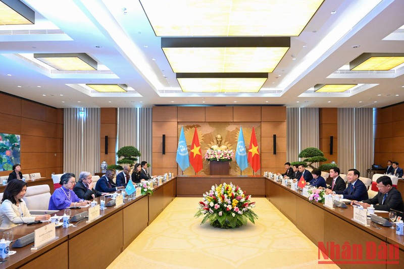 Tạo “xung lực mới” trong hợp tác Việt Nam-Liên hợp quốc những năm tới ảnh 1