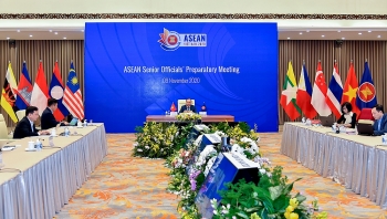 Các nước đánh giá cao Việt Nam trong vai trò Chủ tịch ASEAN 2020