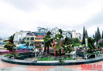 Festival Hoa Đà Lạt năm 2022 có 9 chương trình chính