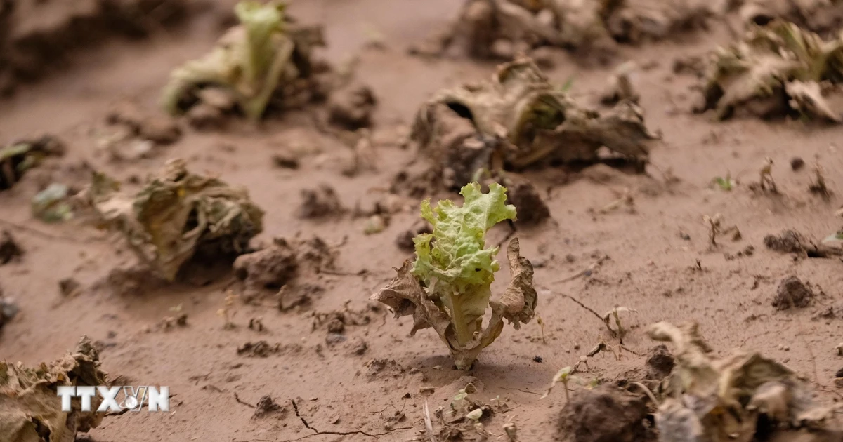 Nghị quyết của Chính phủ về giải pháp khắc phục hậu quả thiên tai ở miền Trung Nghị quyết của Chính phủ về giải pháp khắc phục hậu quả thiên tai ở miền Trung