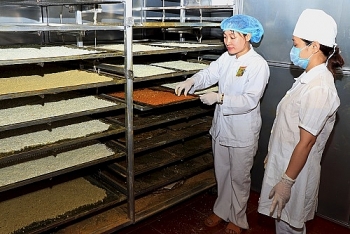 Trao quyền tự chủ kinh tế cho phụ nữ dân tộc thiểu số thông qua công nghệ 4.0