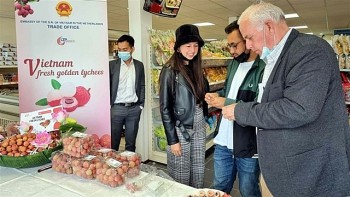 Huy động kiều bào quảng bá, tiêu thụ hàng Việt Nam ở nước ngoài