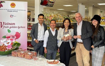Thúc đẩy kinh tế trong nước: Kênh kiều bào còn nhiều tiềm năng chưa khai thác