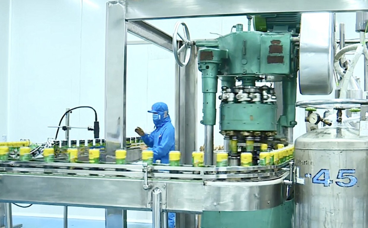 Tận dụng EVFTA và đón đầu EVIPA để kết nối doanh nghiệp Hà Lan vào đầu tư tại Gia Lai
