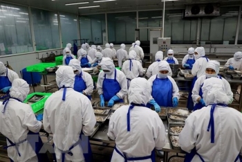 Xuất khẩu thủy sản đạt năm 2022 đạt mức kỷ lục khoảng 11 tỷ USD