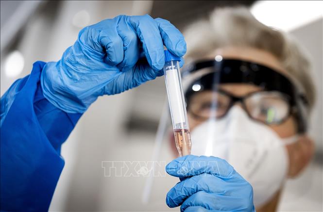 Việt Nam và Đức hợp tác chống các đại dịch tương lai