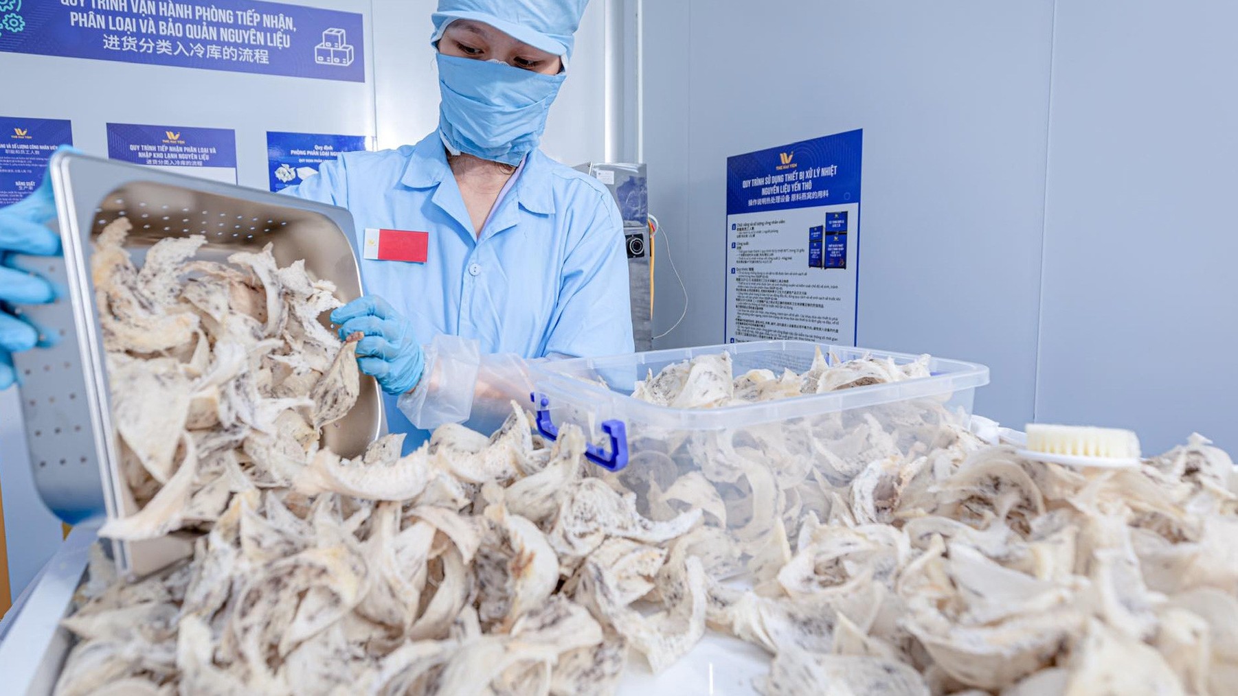 Thêm 4 mặt hàng nông sản Việt Nam được xuất chính ngạch sang Trung Quốc