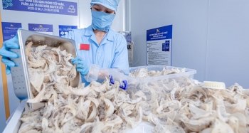 Thêm 4 mặt hàng nông sản Việt Nam được xuất chính ngạch sang Trung Quốc