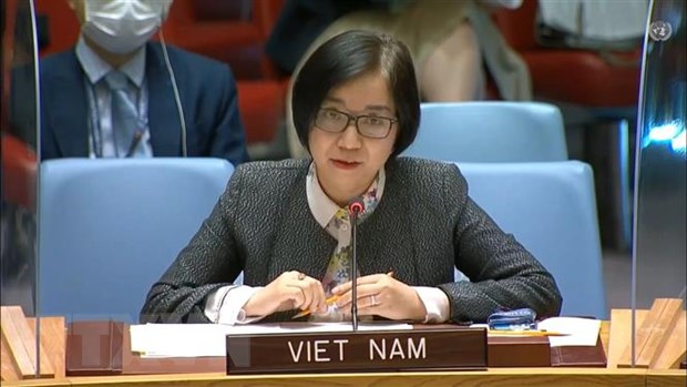 Viet Nam ung ho no luc cua LHQ nham cai thien an toan giao thong hinh anh 1