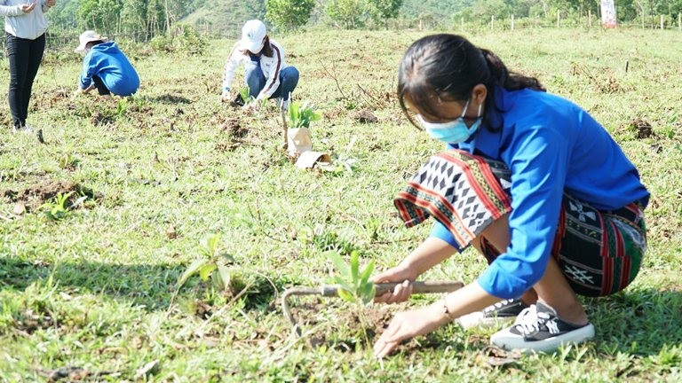 Phát động Lễ trồng cây “Hành động vì một Việt Nam xanh” tại xã biên giới huyện A Lưới