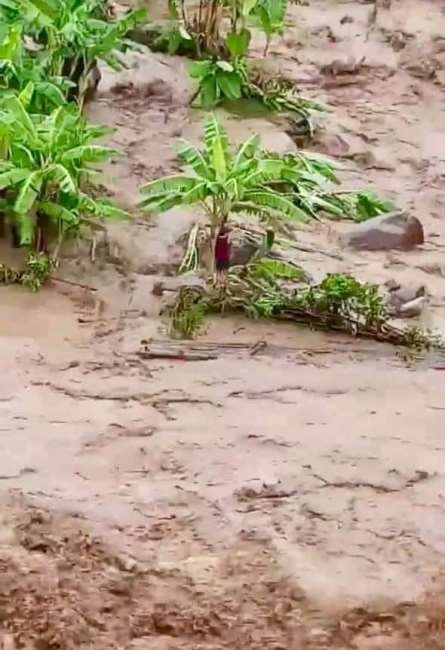 tin bao so 3 hang chuc nguoi va nha cua bi cuon troi o thanh hoa
