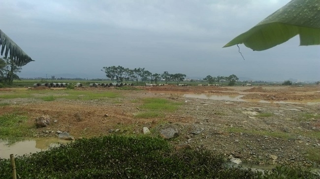 du an tnr stars oleco nghe an duoc bat den xanh huy dong von