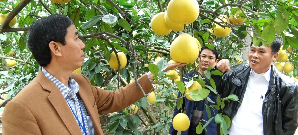 thanh hoa dien mao moi tren huyen can dich nong thon moi